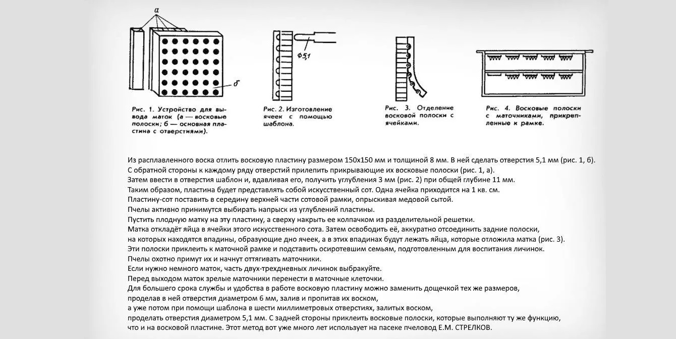 Инструкция маток. Инструкция вывода маток джентерским сотом. Джентерский сот чертеж. Вывод маток на джентерском соте. Инструкцию по выводу маток в джентерском соте.